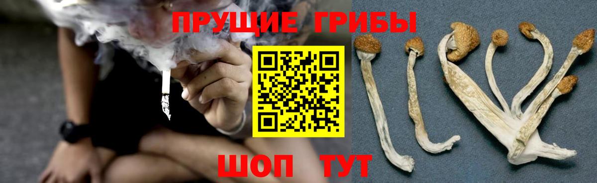 Галлюциногенные грибы Magic Shrooms Котовск